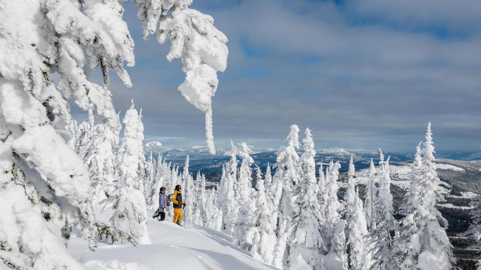 Fireside Lodge #409 By Bear Country Sun Peaks Eksteriør bilde